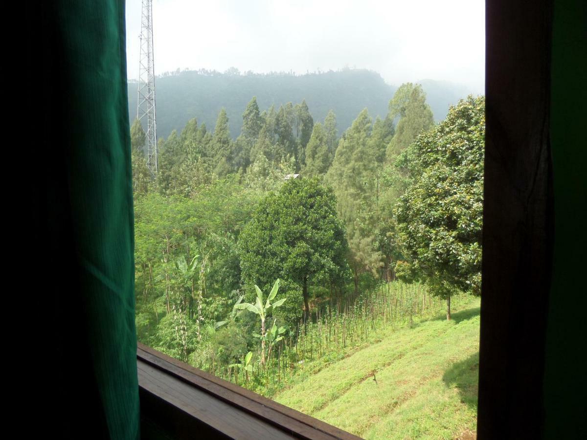 Istana Petani Otel Bromo Dış mekan fotoğraf