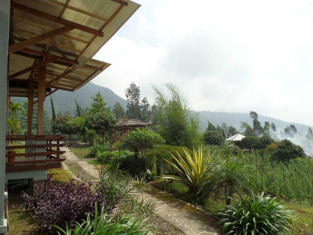Istana Petani Otel Bromo Dış mekan fotoğraf