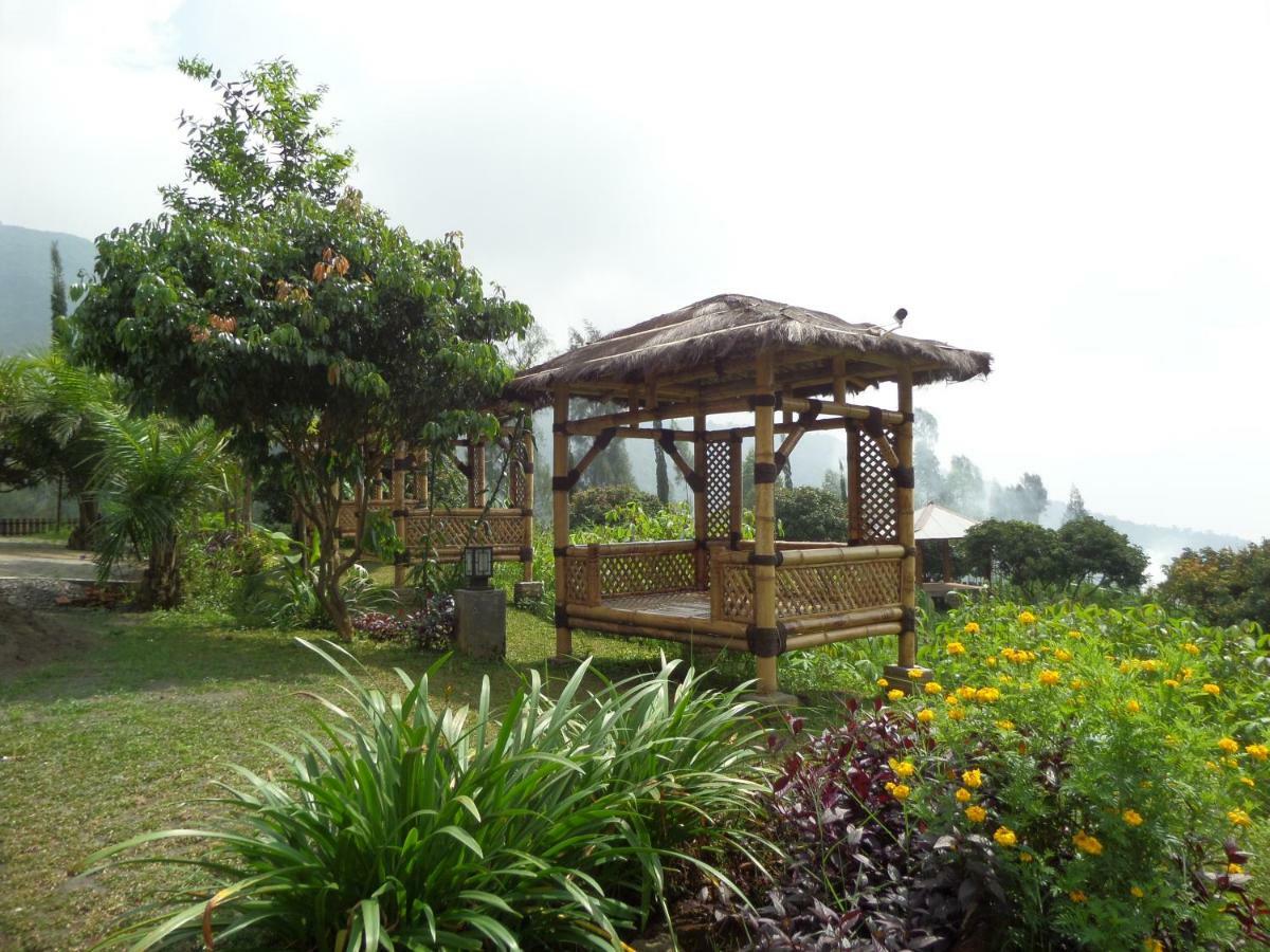 Istana Petani Otel Bromo Dış mekan fotoğraf