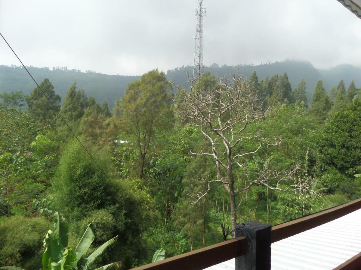 Istana Petani Otel Bromo Dış mekan fotoğraf